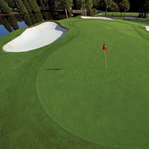 Lone Palm Golf Club